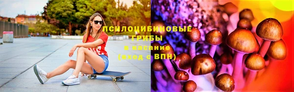 таблы Бородино