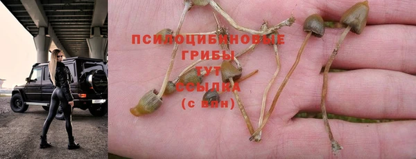 таблы Бородино