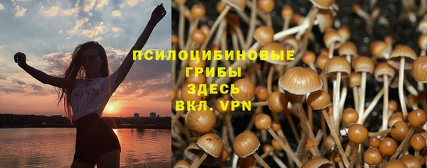 стаф Бугульма