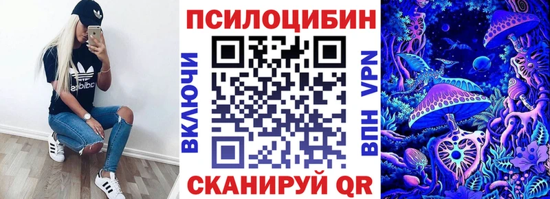 Псилоцибиновые грибы мицелий omg tor Новосокольники